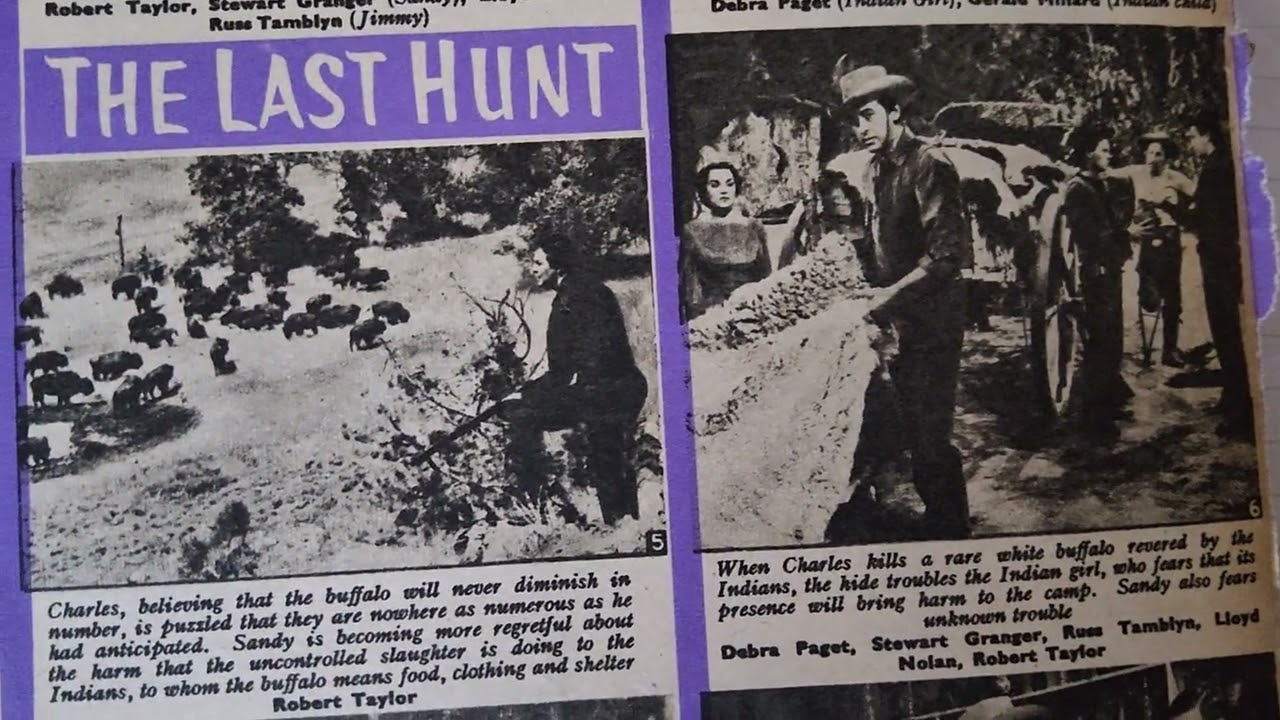 The Last Hunt ( film 1956 western Robert Taylor stewart granger ) - In 500 words