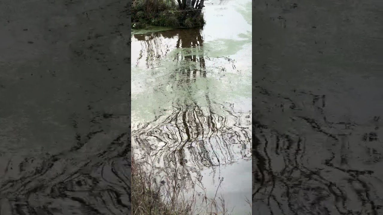 Река Буянка, приток Волги. Природа России