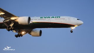 EVA Air B777-300ER night arrival at LAX