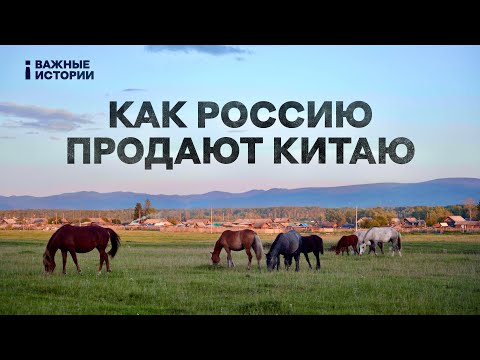 Как в России уничтожают природу ради угля для Китая