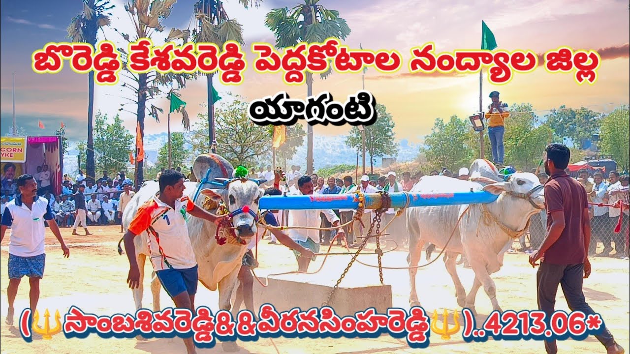 యాగంటిలో రెండవ 🥈 బహుమతి బొరెడ్డి కేశవరెడ్డి (సాంబశివరెడ్డి&వీరనసింహరెడ్డి)4213.06#yagantibulls#brkr