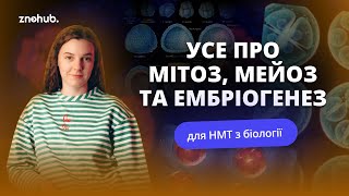 Усе про мітоз, мейоз та ембріогенез для НМТ з біології