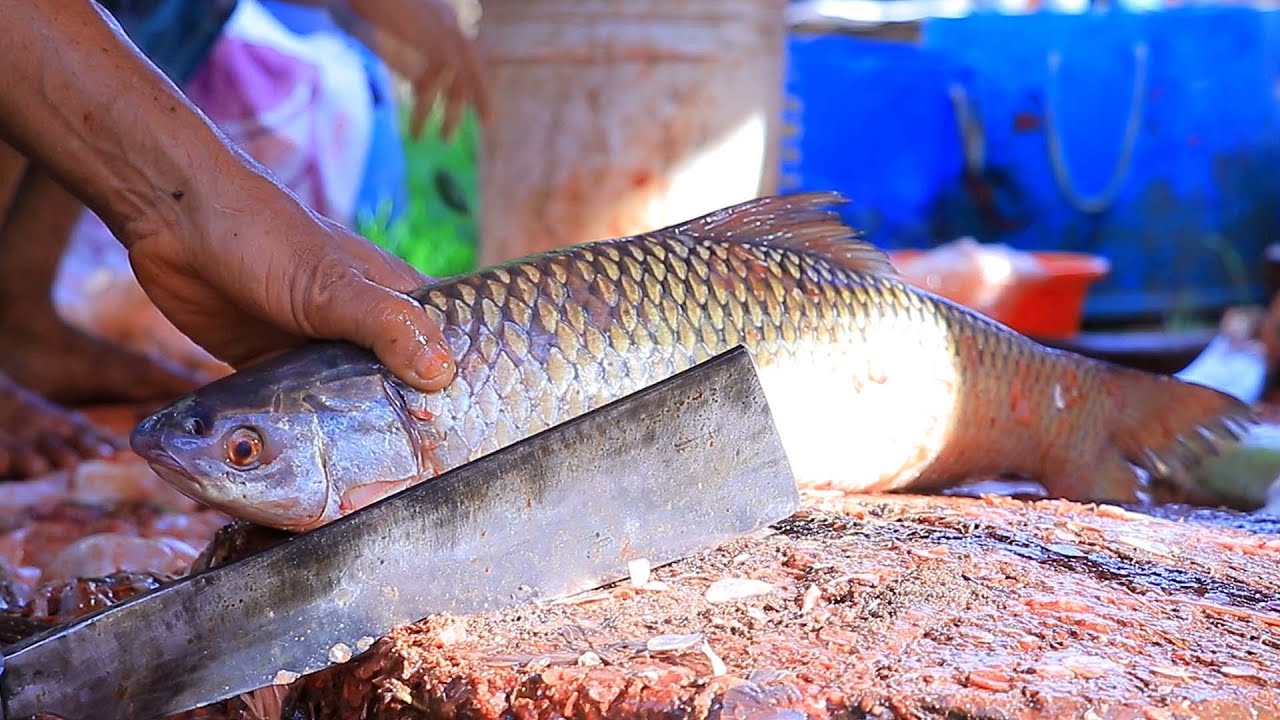 Amazing Cutting Skills Big Mrigol Fish Cutting By Expert Fish Cutter