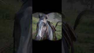 Singing Horse screenshot 4