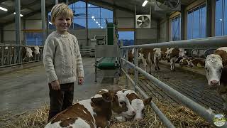 A Day of Alpine Farm Work Ep 5| Cured Meat, Hearth Feast, Resting Herd, Family & Eternal Stars