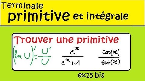 Terminale-IMPORTANT-primitives avec ln U et U