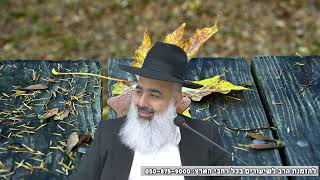 אתם תהיו בהלם למה  האישה שהייתה עקרה 20 שנים לא רצתה את ההבטחה המפורשת מהצדיק לבן זכר 🎯🎯🎯