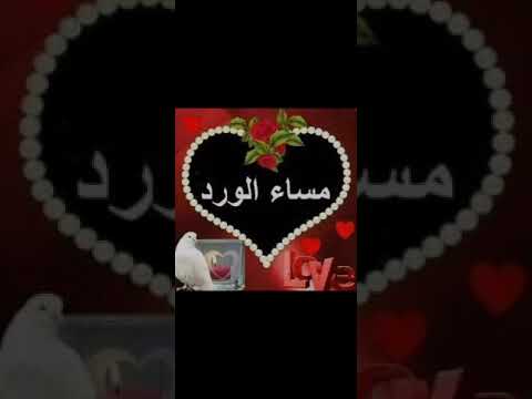 ثم احنا بتوع الجملة قمصان مستورد رجالي يجنن