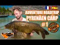 ***KARPFENANGELN in FRANKREICH & SPANIEN - Roadtrip Adventure! [krasse Spots & wildeste Karpfen]