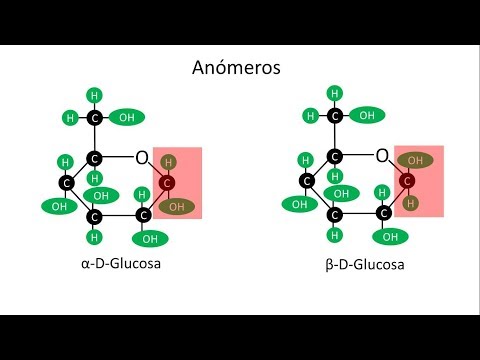 Vídeo: Diferencia Entre Anómeros Alfa Y Beta