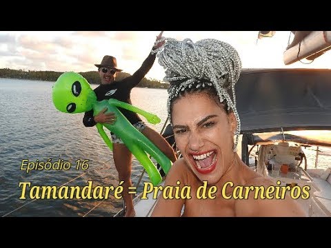 ⁣Ep 16 - Tamandaré = Praia de Carneiros (Pernambuco)