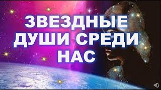 ЗВЕЗДНЫЕ ДУШИ СРЕДИ НАС