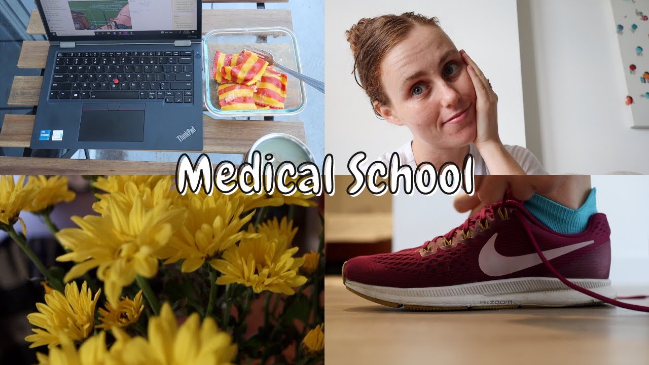 Week 54 55 Alcohol In Medical School A Second Year Medical Student week-54-55-alcohol-in-medical-school-a-second-year-medical-student