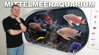 Ist ein MITTELMEERAQUARIUM cool?... (Diese Tiere kann man halten)