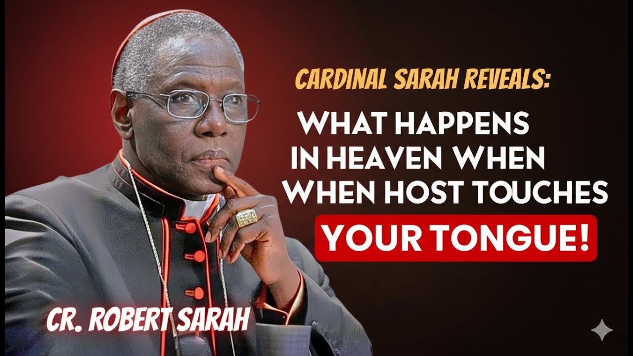 «Кардинал Сара открывает: что происходит на НЕБЕСАХ, когда СВЯЩЕННИК касается вашего языка»