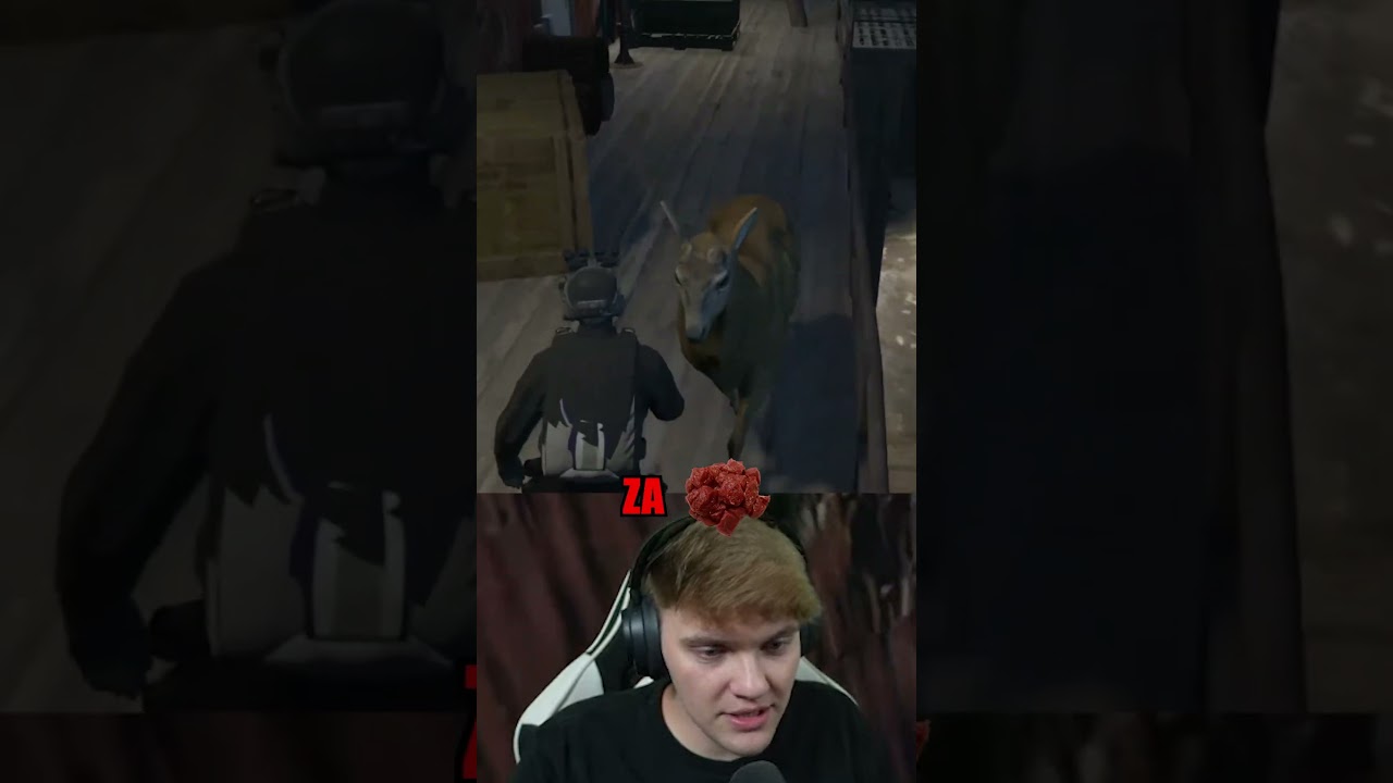 GOLAŽ ali pač... 😂