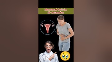 Menstrual Cycle in 3D Animation #menstrualcycle #animation #medical