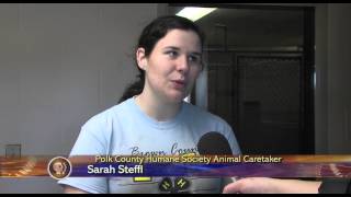 More than 50 Beagles Rescued - Lakeland News at Ten - March 11, 2015