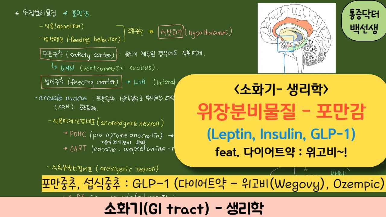 GIP and GLP‐1, the two incretin hormones: Similarities and differences