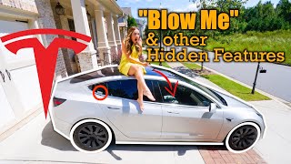 2022 Tesla Hidden Features \& Party Tricks