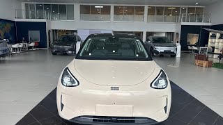 NEW 2026 GEELY E2 EV - Pricing & Specs.