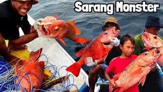 Surga ikan Monster, sekali tarik ikan Mangrove Jack naik berturut-turut😱 Longline best Video #part7