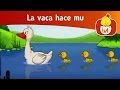 La vaca hace mu- El pato -  Luli TV