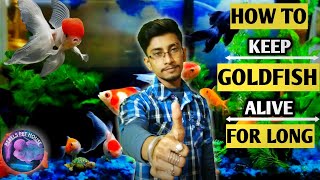 how to care goldfish | keeping goldfish alive | how to keep goldfish alive for 15 years