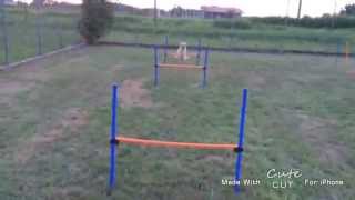 IMG 3172