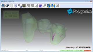 Polygonica fixing a Renishaw dental model