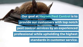 Haynes Pest Control -  Pest Control Company in Sebring FL