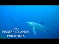 This is the Visayas Islands - Philippines