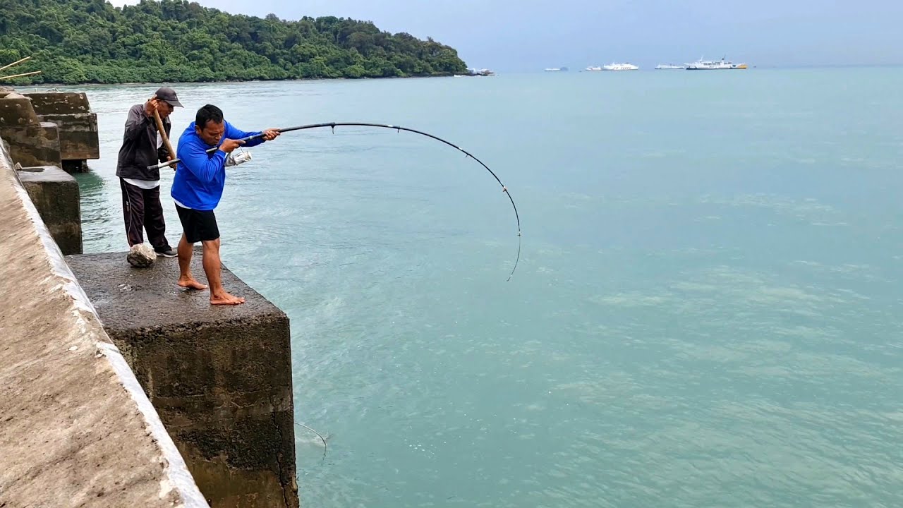 Mancing dasaran dengan umpan ikan hidup Di Pemecah Ombak 