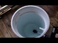 Video #1 Cheap and Simple Portable Bait Tanks Under $200