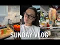Vlog sunday in boston grocery shopping  lots of cooking