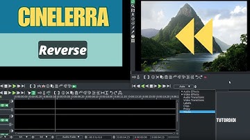 Reverse Video - Cinelerra Video Editor Tutorial#10