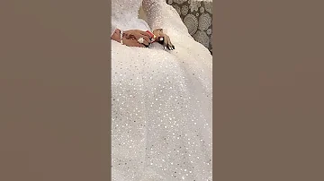 عروس جزائرية 2025 