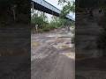 Bhilai Steel plant jaane ka rasta #viral #minivlog #shortvideos #vlog #youtubevloggers #ai