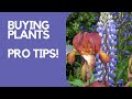 Shopping for plants - how to choose the best plants for your garden...