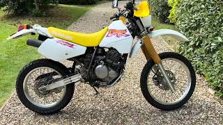 Suzuki DR350