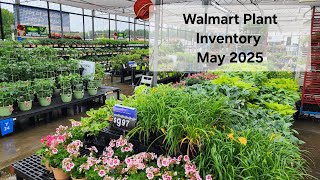 Walmart Garden Center May 2025 Plant Inventory. It's a rainy day in Georgia/Zone 8a.