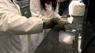 NIU Scientists Produce Simple, Green Graphene