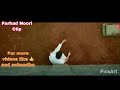 بهترین آهنگ هندی فلم مرجوان حالتي