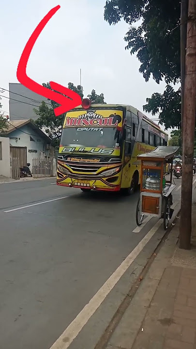 😅😅 KLAKSON BUS BINTANG LURAGUNG ASRI. #telolet #basuri