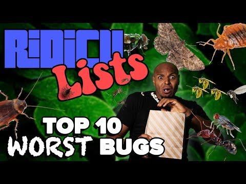 Ridicu-Lists: Top 10 Worst Bugs