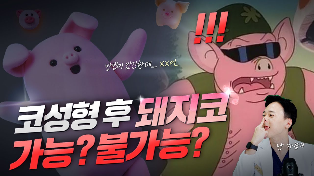 🐷코수술하고 돼지코가 가능할까? 🐷