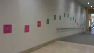 qube corridor