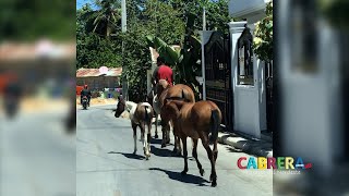 Life In Cabrera - Bogged Down In Traffic