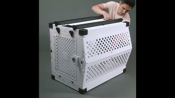 Collapsible Dog Crate on amazon