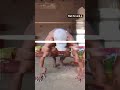 This is very most important exercise for chest at home 💪💪# Sharad fitness model # jay bhole ki🙏🙏💪💪💪